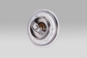 Thermostat D24 87°