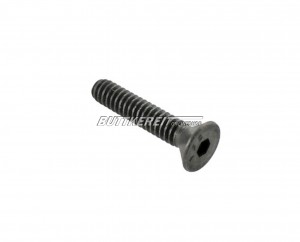 Schraube Türschlossführung AZ/1800  68-73 Innensechskant